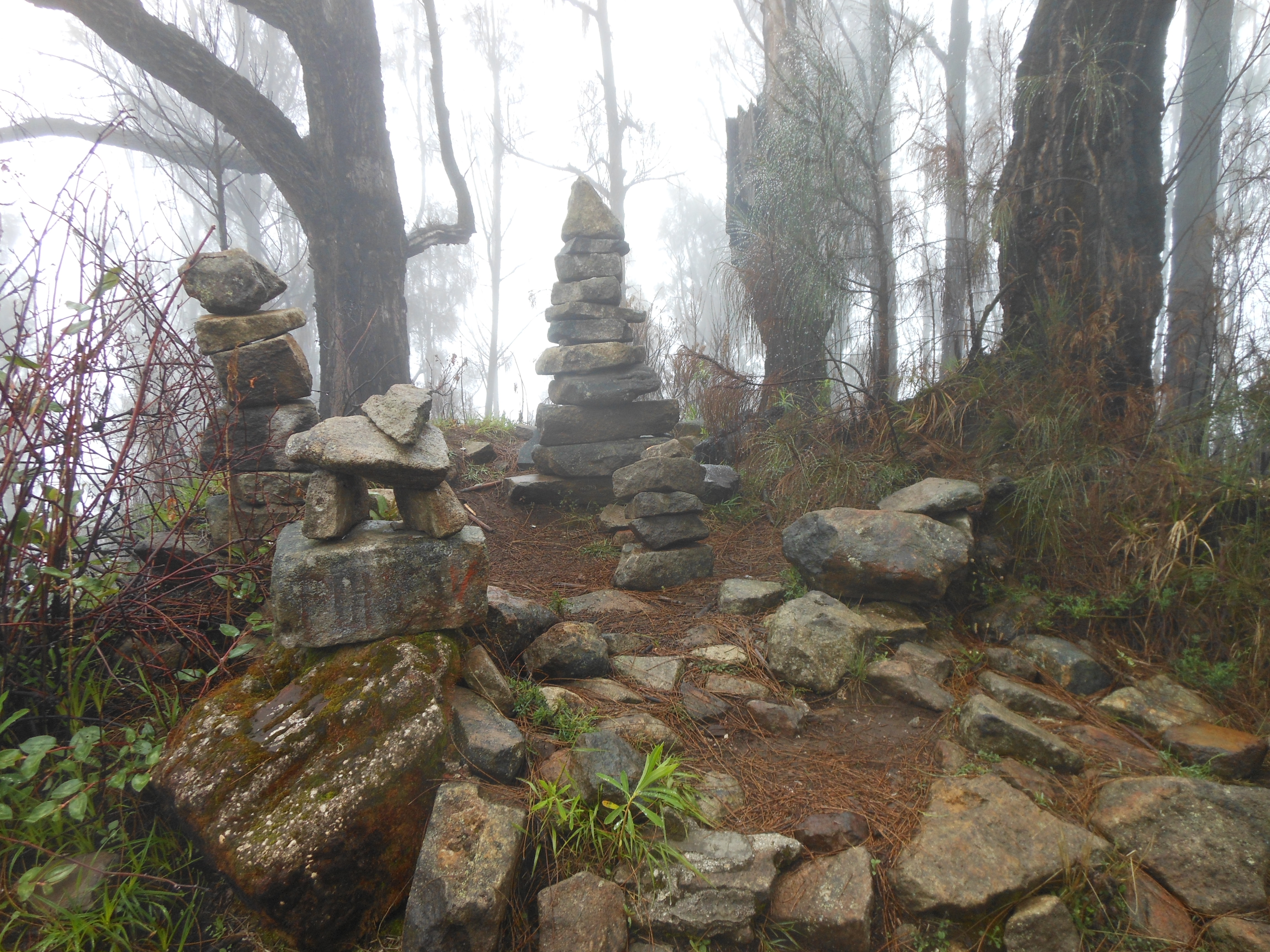 Berkenalan Dengan Argopuro Trek Terpanjang Sejawa Www